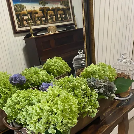 Modry Dom 1 * Levoča