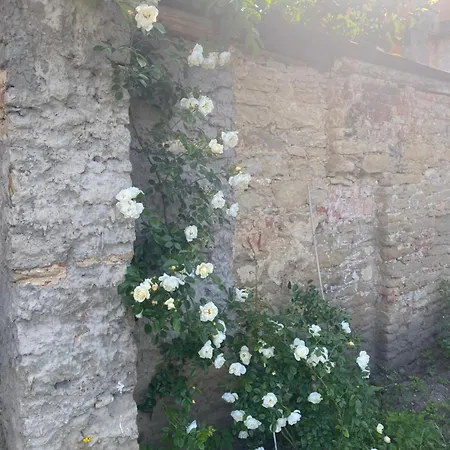 Modrý Dom 1 * Levoča